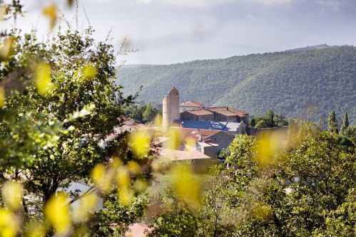Château de Riell