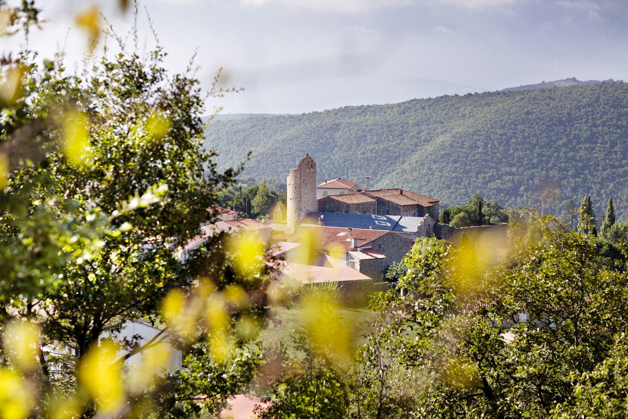 Chateau de Riell - Surrounding